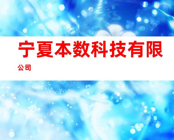 宁夏本数科技有限公司